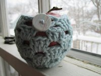 adisoninmadison Crocheted Apple Cozy